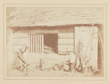Alt Text
